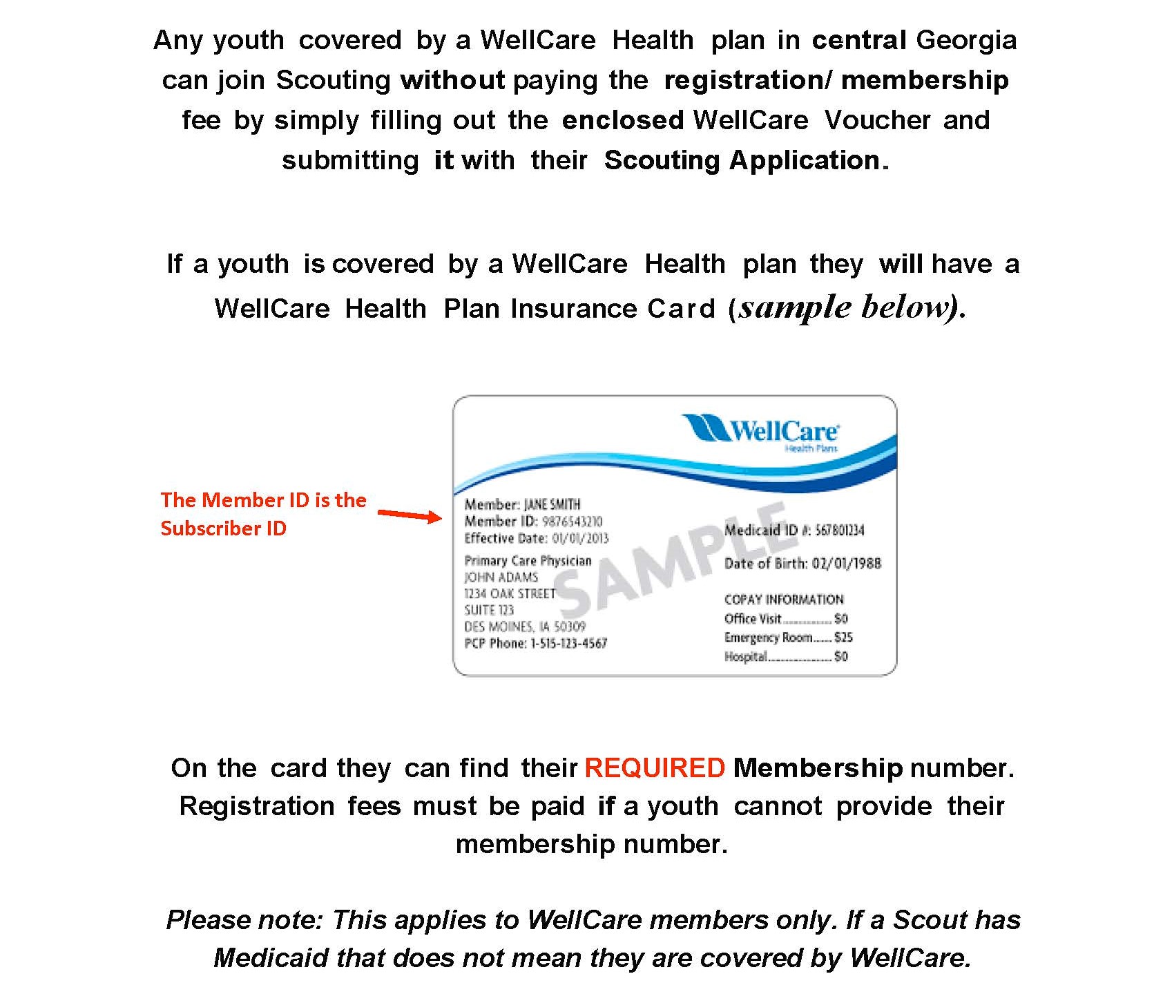 Policy Number Wellcare Insurance Card